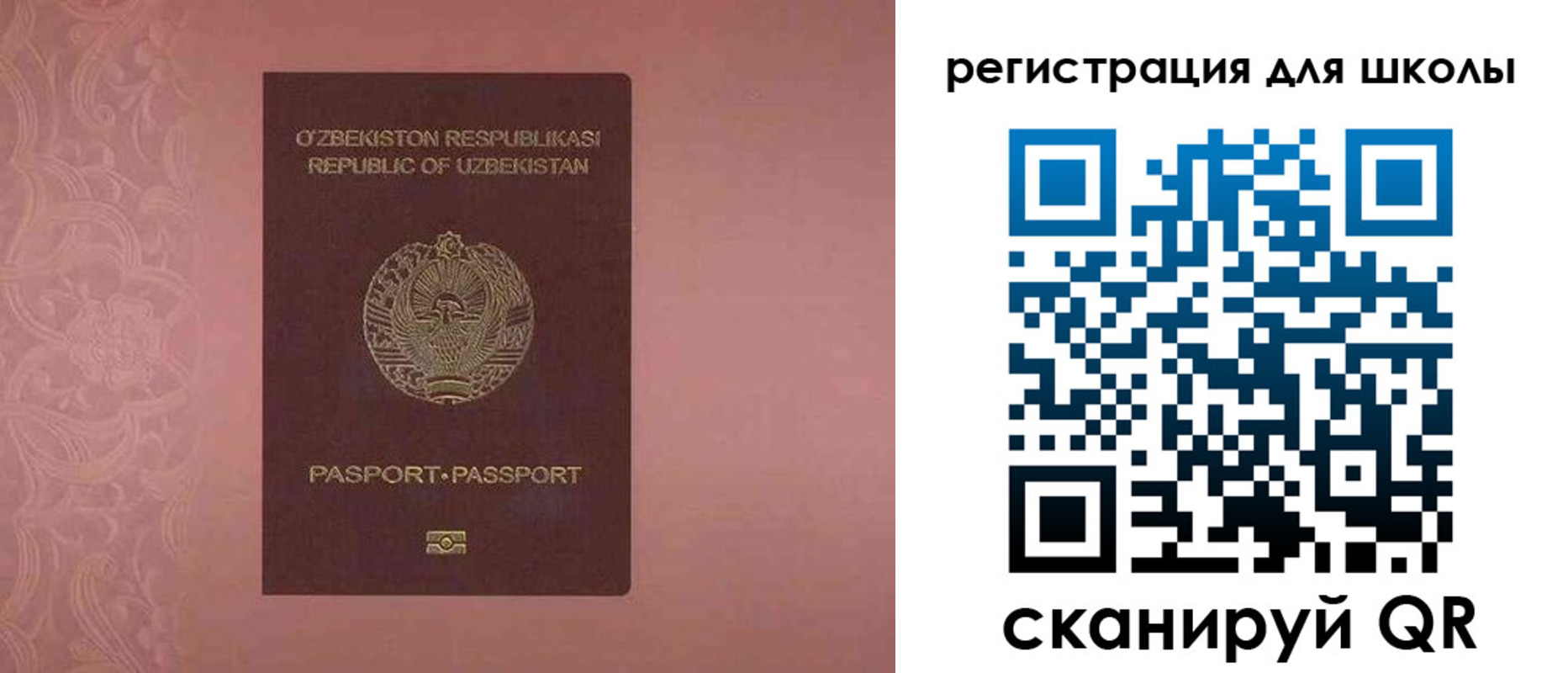 прописка для школы в Балтийске