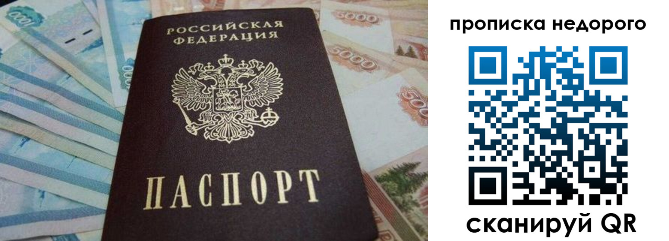 временная регистрация поиск в Балтийске